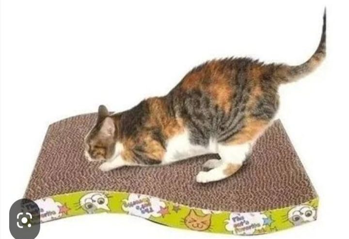 RASCADORES-PARA-GATOS